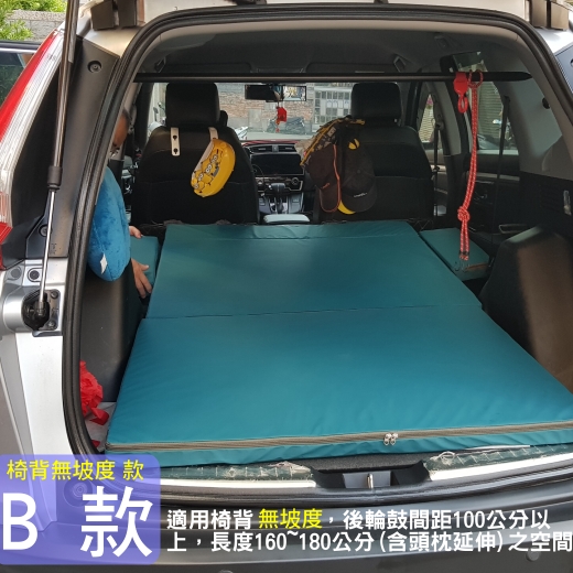 B款 其他車種 (於備註欄中註明車種)
